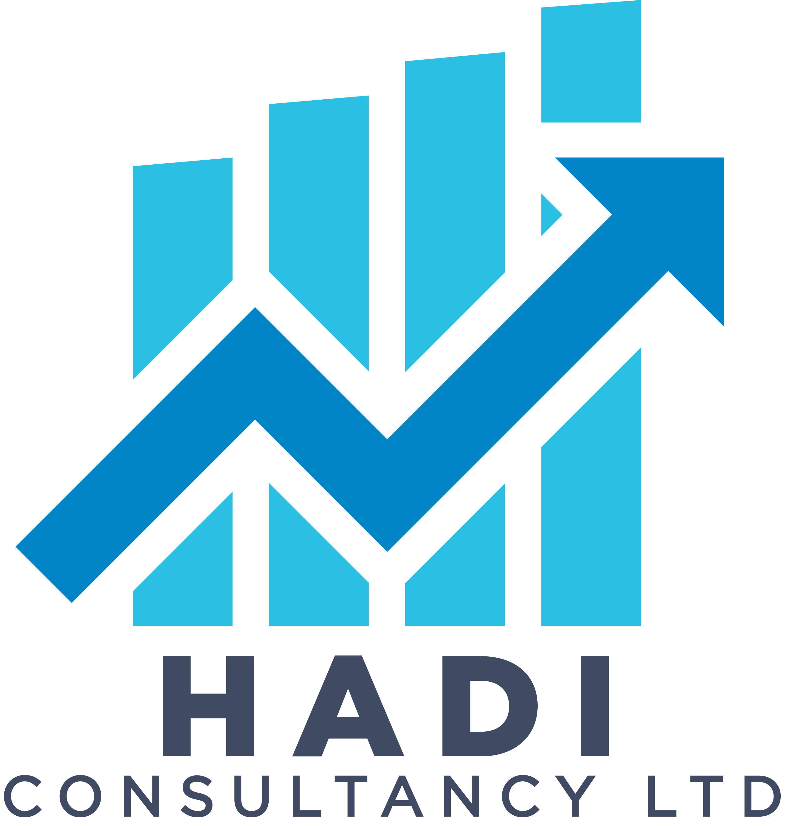 Hadi Consultancy